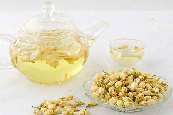 茉莉花茶是綠茶嗎 茉莉花茶產(chǎn)地在哪里