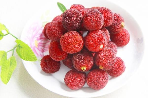 哪里的楊梅最好吃 楊梅什么時候下市