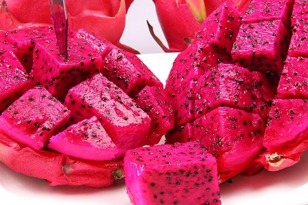 七個月、八個月寶寶可以吃火龍果嗎 每天都吃火龍果好嗎