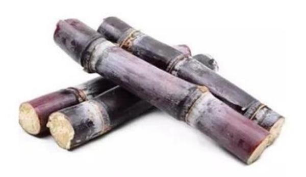 甜桿和甘蔗的區別是什么 甘蔗的功效與作用