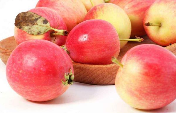 沙果圖片大全 沙果是什么