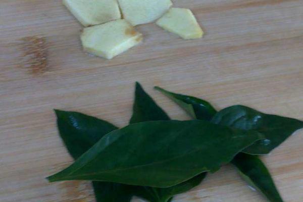 辣椒葉的功效與作用及禁忌 辣椒葉的食用方法有哪些