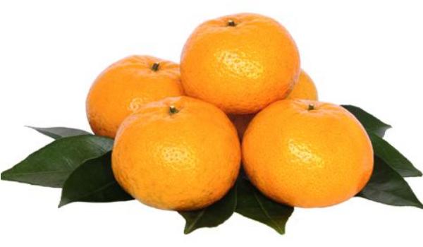 吃蘆柑上火嗎 孕婦能吃蘆柑嗎