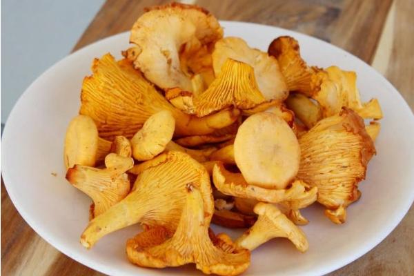 野生黃絲菌市場價(jià)格多少錢一斤 黃絲菌可以人工種植嗎