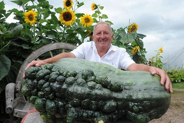 巨型葫蘆有多大 巨型葫蘆種子怎么種