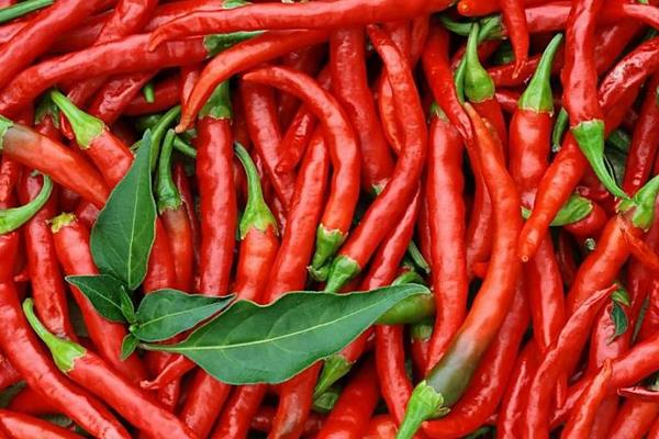 長期吃辣好嗎 怎么腌辣椒好吃
