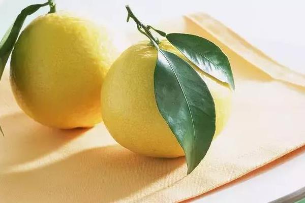 柚子什么時候成熟 柚子的挑選方法