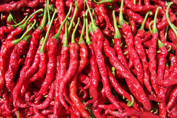 鮮辣椒怎么保存 新鮮辣椒怎么保存不發(fā)霉