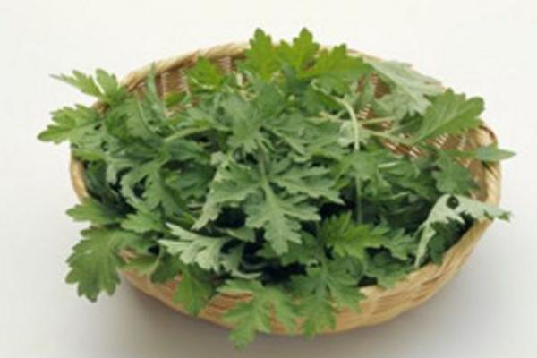 艾葉和艾草的區(qū)別是什么 艾葉和艾草哪個(gè)泡腳好