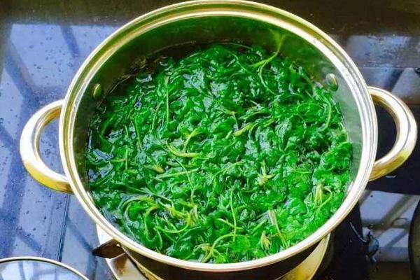 艾葉水怎么煮 煮艾葉水洗澡好嗎