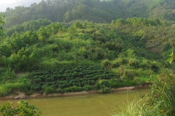 風水寶地怎么看 風水寶地的意思是什么