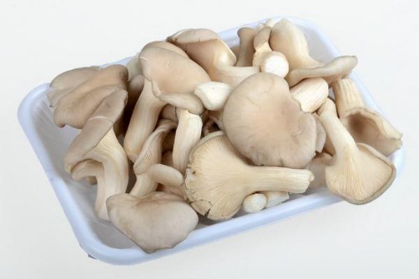 秀珍菇市場(chǎng)價(jià)格多少錢一斤 秀珍菇什么季節(jié)上市