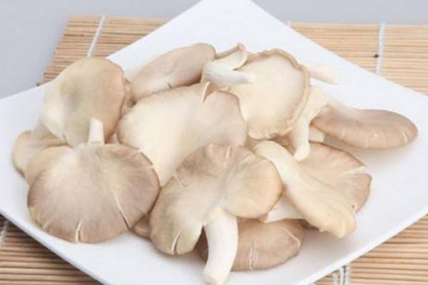 秀珍菇市場(chǎng)價(jià)格多少錢一斤 秀珍菇什么季節(jié)上市