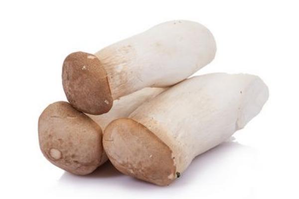 毛頭鬼傘有毒嗎 毛頭鬼傘為什么會自溶