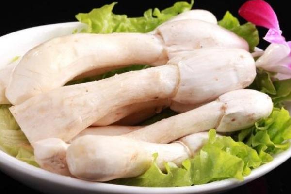 毛頭鬼傘菇市場價格多少錢一斤 毛頭鬼傘菇什么季節上市