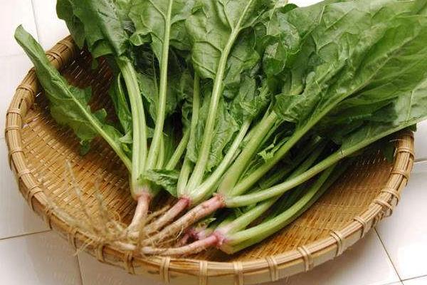 菠菜的根能吃嗎 菠菜的根怎么吃