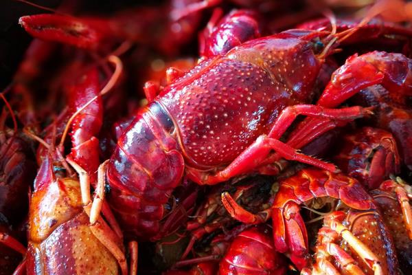 爆炒小龍蝦的做法 麻辣小龍蝦的做法