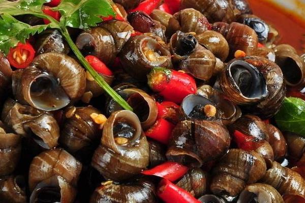 吃田螺有什么好處 田螺的食用禁忌