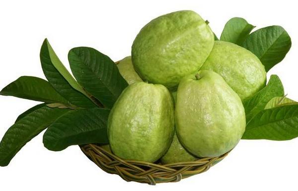 番石榴怎么保存 番石榴里面的是什么蟲