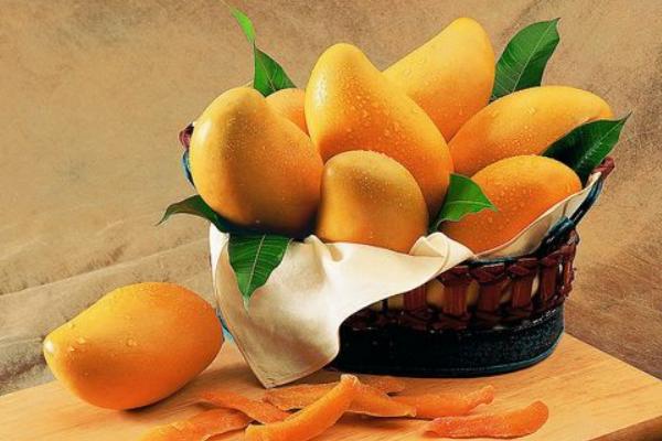 夢見吃芒果是什么意思 女人夢到芒果樹上結了好多芒果有什么預兆