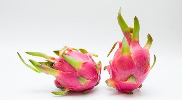 火龍果為什么叫火龍果 火龍果是怎么長(zhǎng)出來的