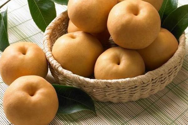 莊行蜜梨市場價(jià)格多少錢一斤 莊行蜜梨上市時(shí)間