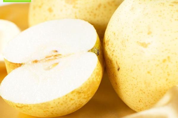莊行蜜梨市場價(jià)格多少錢一斤 莊行蜜梨上市時(shí)間