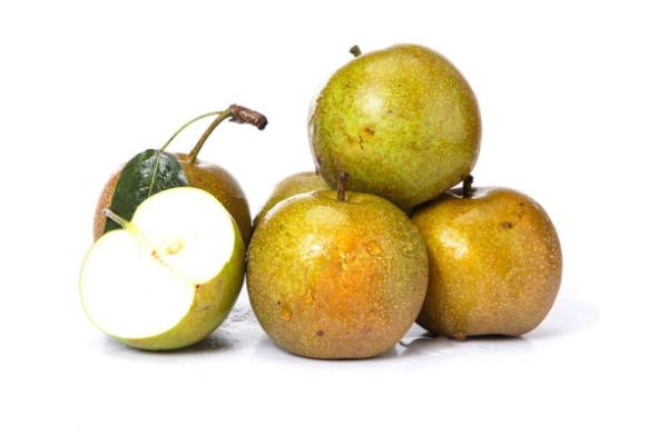 莊行蜜梨市場價(jià)格多少錢一斤 莊行蜜梨上市時(shí)間