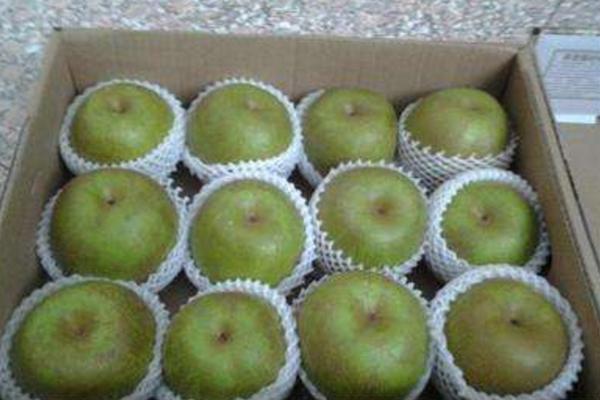 焦溪蜜梨市場價格多少錢一斤 焦溪蜜梨的由來