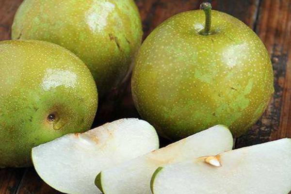 焦溪蜜梨市場價格多少錢一斤 焦溪蜜梨的由來