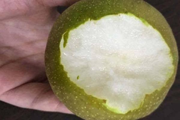 焦溪蜜梨市場價格多少錢一斤 焦溪蜜梨的由來