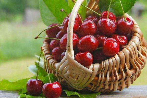 櫻桃什么時候上市 櫻桃一天吃多少合適