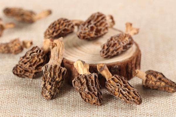 羊肚菌的功效與作用及禁忌 羊肚菌的營養(yǎng)價值