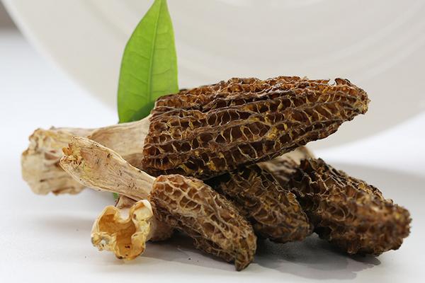 羊肚菌的功效與作用及禁忌 羊肚菌的營養(yǎng)價值