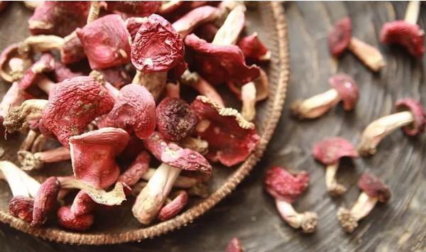 干紅菇要泡多久 紅菇哪里產的最好