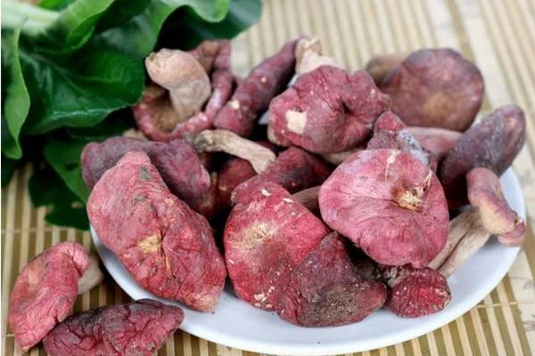 紅菇泡水會紅是染色嗎 紅菇煮后湯是什么顏色