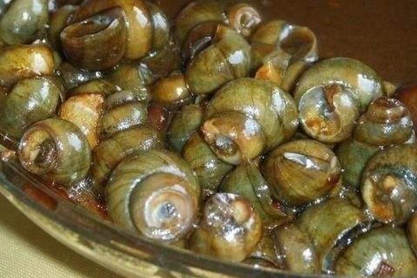 田螺剪尾機(jī)有哪些品牌和型號(hào) 田螺剪尾機(jī)怎么使用