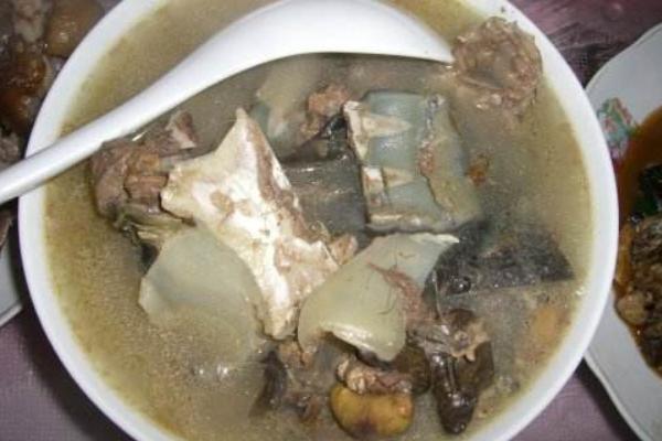 甲魚湯的功效與作用 甲魚的營養價值
