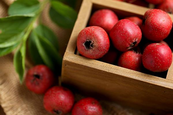 山楂果的功效與作用及禁忌 山楂果藥用價值