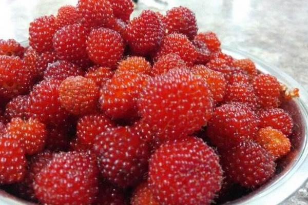樹莓怎么吃 孕婦可以吃樹莓嗎