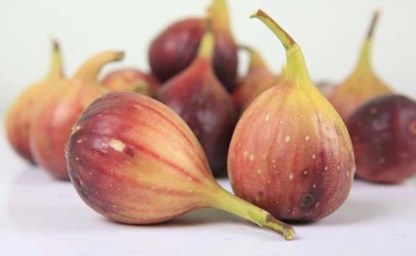 無花果對(duì)男人的功效與作用 血糖高能吃無花果嗎