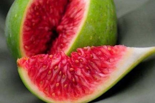 無花果對男人的功效與作用 血糖高能吃無花果嗎