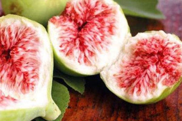 無花果對男人的功效與作用 血糖高能吃無花果嗎