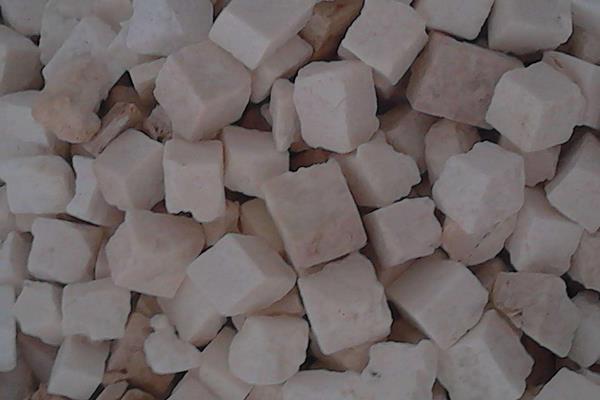 茯苓圖片大全 茯苓是什么