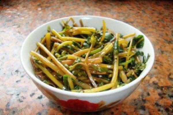 馬齒莧的功效與作用及禁忌 馬齒莧營養(yǎng)價值