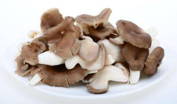 秀珍菇怎么做好吃又簡(jiǎn)單 孕婦可以吃秀珍菇嗎