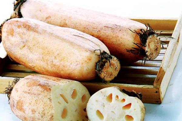 蓮藕長在哪里 高產蓮藕品種有哪些