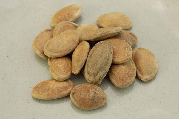 瓜蔞仁的功效與作用及禁忌 瓜蔞仁藥用價(jià)值