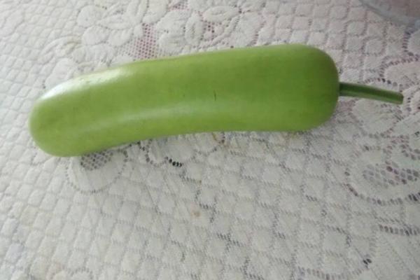 瓠子有點苦能吃嗎 瓠子孕婦能吃嗎