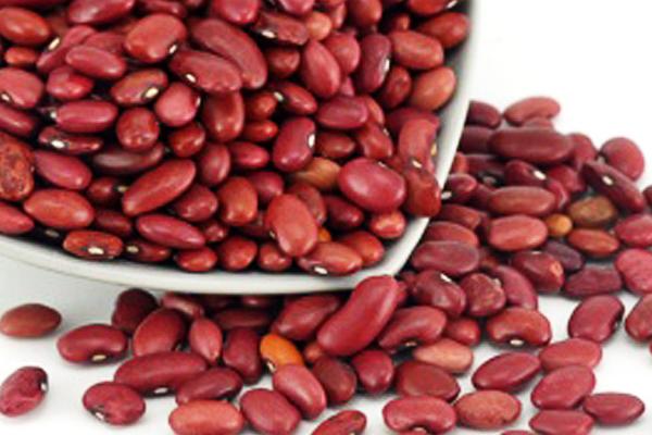 紅蕓豆的功效與作用及禁忌 紅蕓豆的營養價值